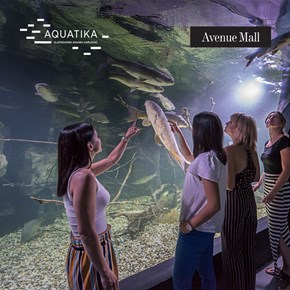 Aquatika - Slatkovodni akvarij Karlovac