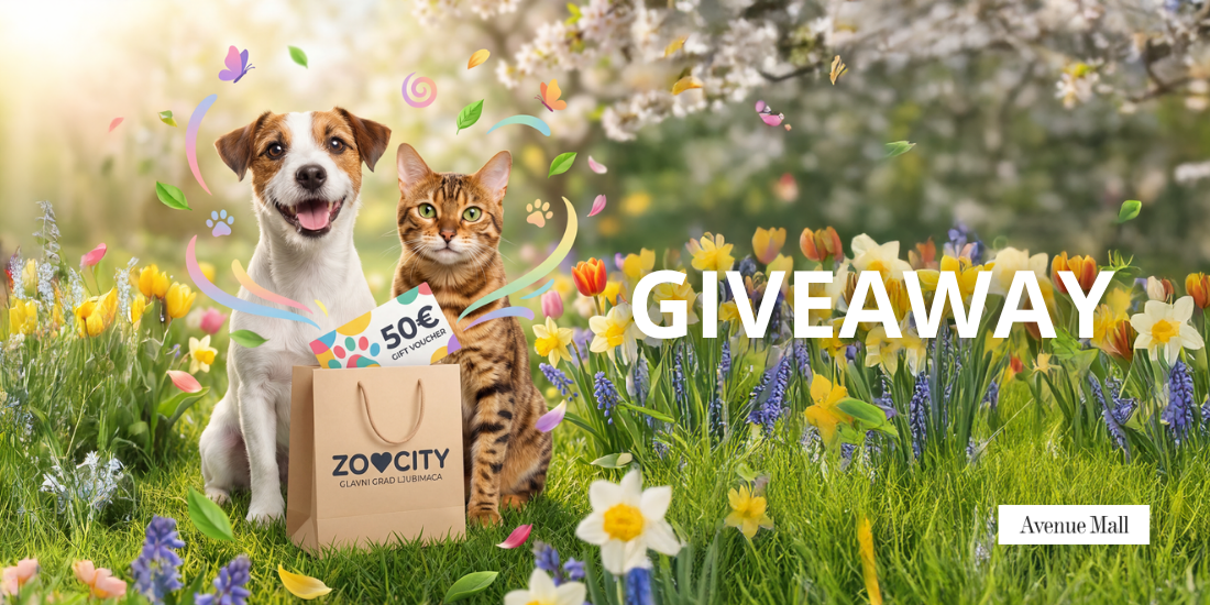 Zoo City GIVEAWAY