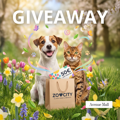 Zoo City GIVEAWAY